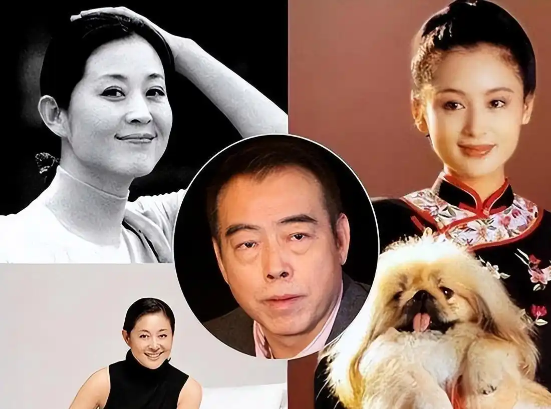 景甜郭晶晶刘亦菲朱珠许晴陈红_旺夫面相的女明星_天生富贵相女星